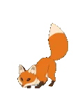 foxjump