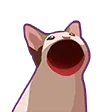 catMemes_1