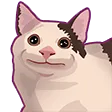 catMemes_4