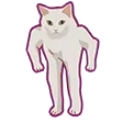 catMemes_7