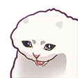 catMemes_10