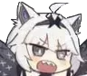 grr_21 grr_21