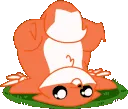 foxflop