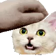 1emoji_253