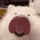 LICKA