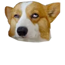 processingurbullshit