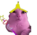 Stinkiernald