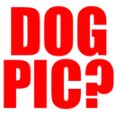wheredogpic