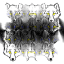 pack_fourier_crop2