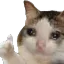 :95_CryThumbsUp: