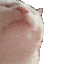 :catJAM: