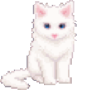 kitty