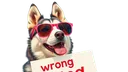 Huskywrong