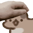 pettimtom