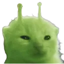 glorp glorp