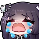 maekoCry maekoCry