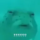 wht