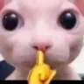 shh