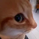 sideeye