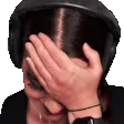 mikkaaFacepalm mikkaaFacepalm