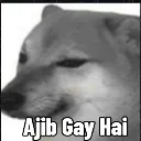 Ajibgay