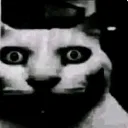 catdespair