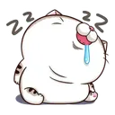 ami4 ami4