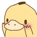 duckshy
