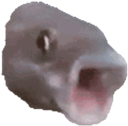 retouch_2025031101040297 custom emote - 𝒜 𝓌𝒽𝑜𝓁𝑒 𝓃𝑒𝓌 𝓌𝑜𝓇𝓁𝒹