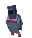 birbpigeon