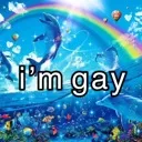 imgayfr