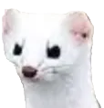 Weasel