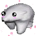 bearcute
