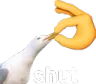 Shut