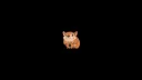 Smol_roll