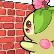 PPalDonoWall