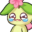 PPalPoor