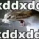 xddd