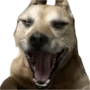 RangerYawn
