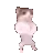 gangnamcat