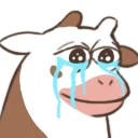 cry