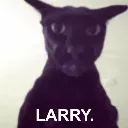 VOA_larry
