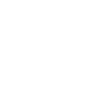 Defender