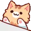 kittybongo