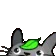 Totoropeek