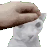 bingusgamingpat