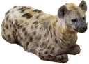 Yeen2
