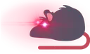 deep_fried_red_eye_rat