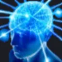 brain