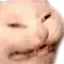 CatWeird